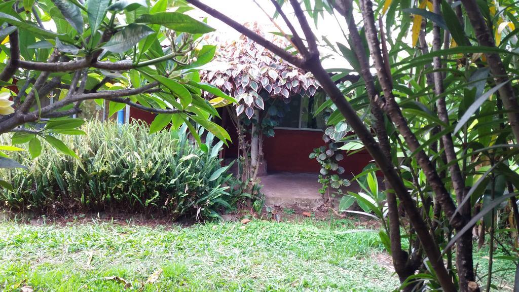 Tupa Hotel Hanga Roa Bagian luar foto